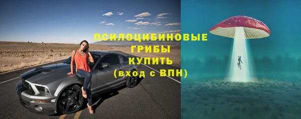 стаф Россошь