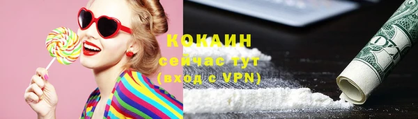 стаф Россошь