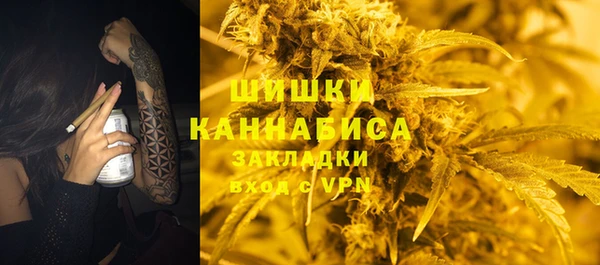 стаф Россошь