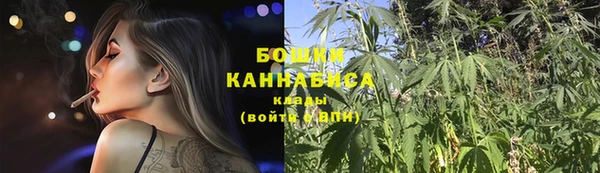 стаф Россошь