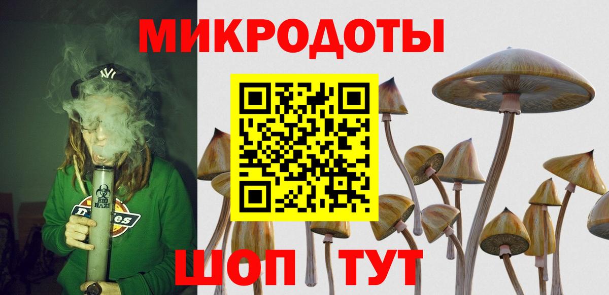 Псилоцибиновые грибы мицелий Азов