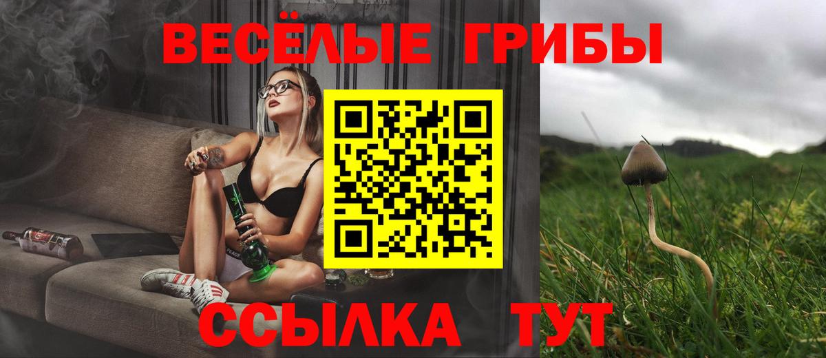 Галлюциногенные грибы мицелий  Вход с VPN  Азов 